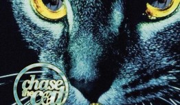 blackcat 在线观看,在线观看的悬疑惊悚之旅